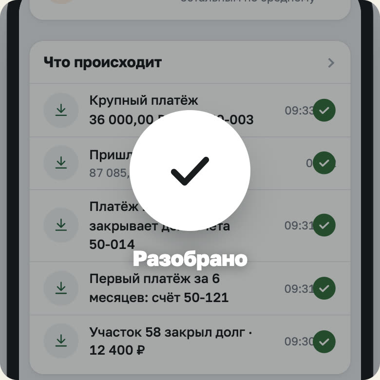 Экран правления демо-посёлка «Лысые Горы»: поступления за день разобраны по счетам участков